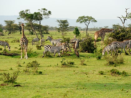 reserve nationale du masai mara