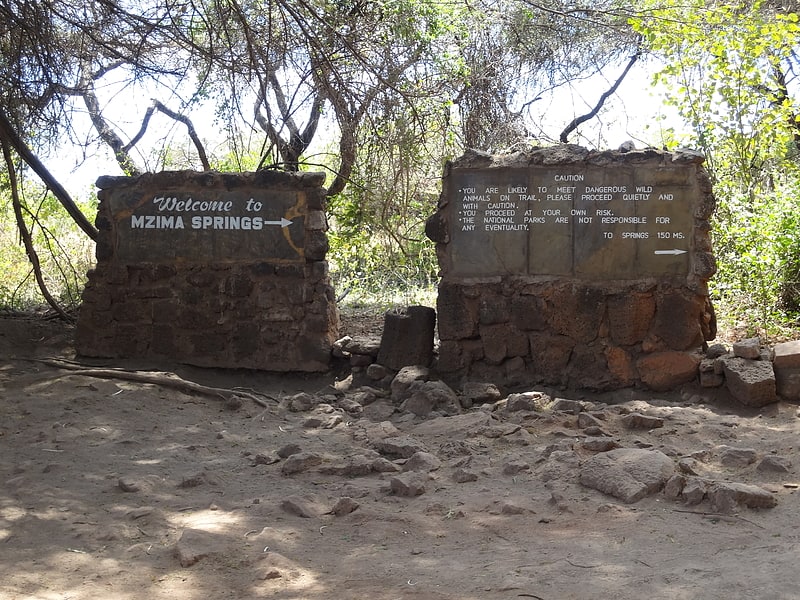 mzima springs tsavo west nationalpark