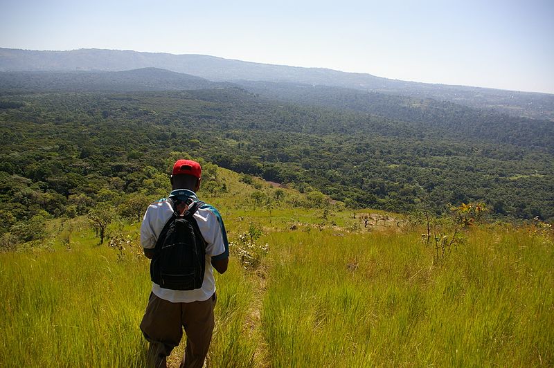 Kakamega Forest Nationalreservat