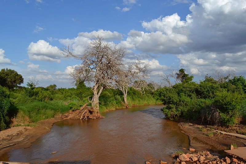 Park Narodowy Tsavo