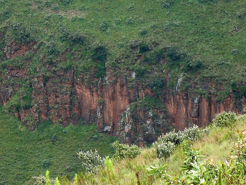 Forêt de Menengai