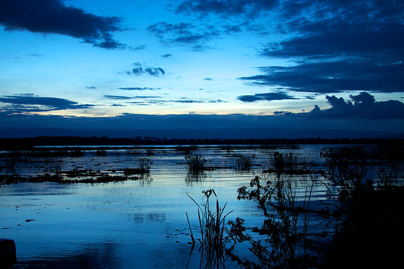 Jezioro Naivasha