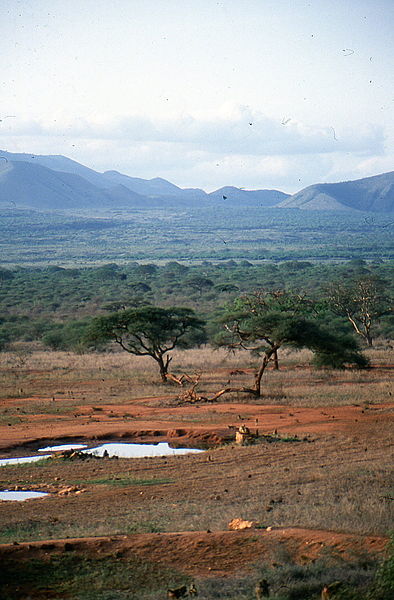 Tsavo-West-Nationalpark