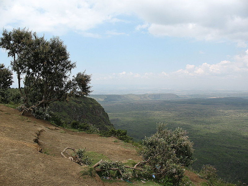 Forêt de Menengai