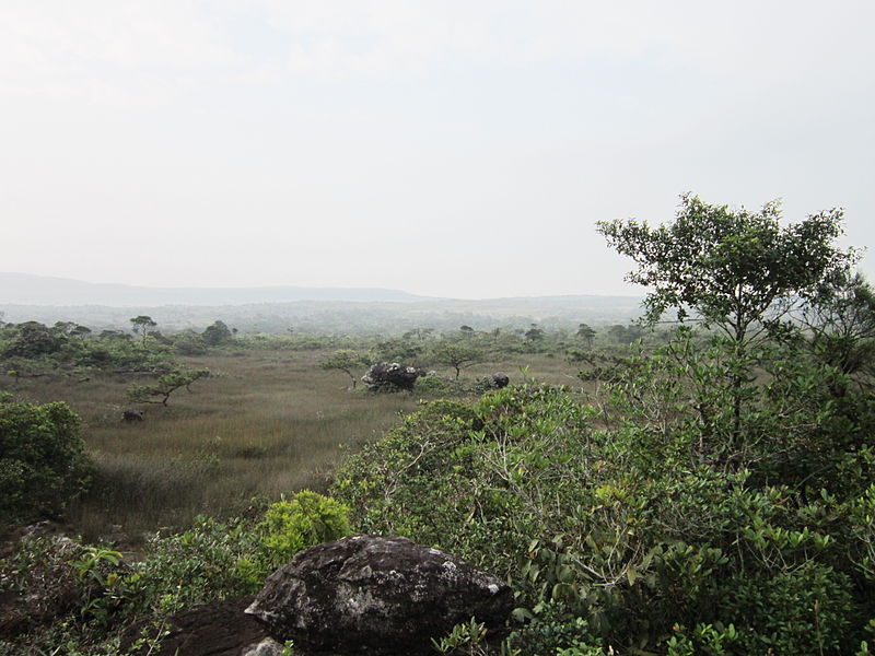 Park Narodowy Bokor
