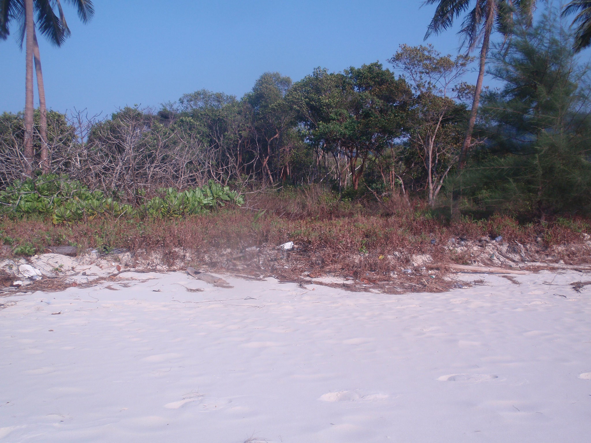 Koh Kong, Camboya