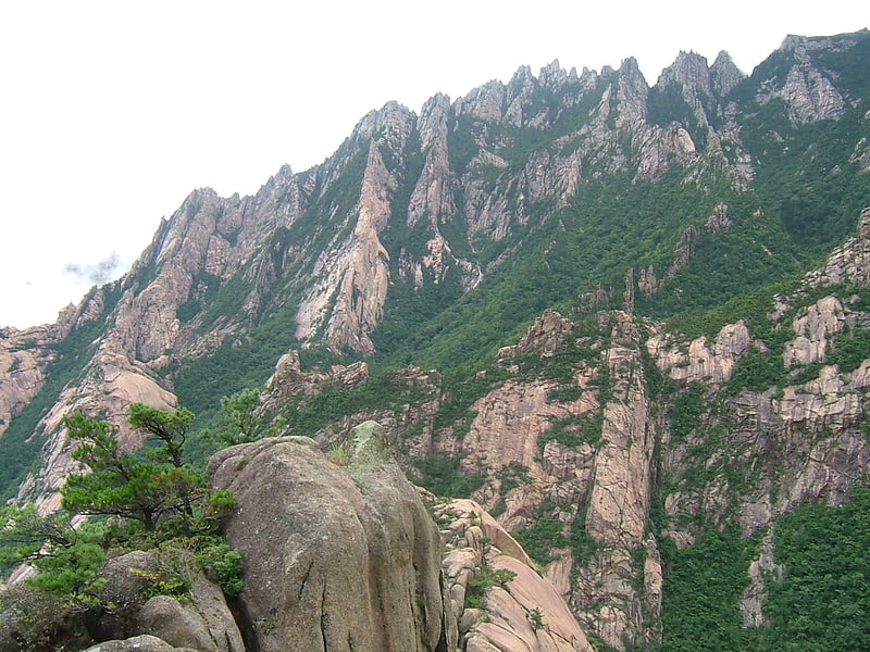 tourism in north korea nampo