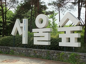 Forêt de Séoul
