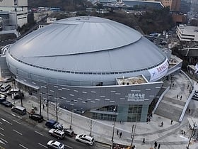 Jangchung Arena