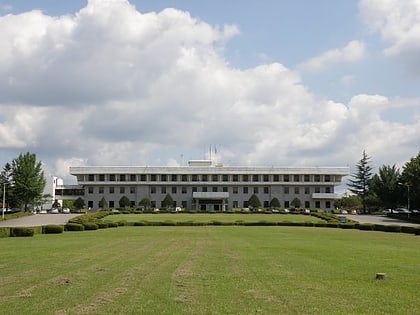 yeungnam university daegu