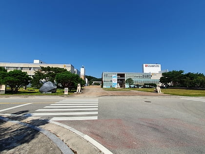 korea national university of cultural heritage condado de buyeo