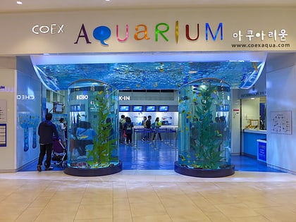coex aquarium seoul