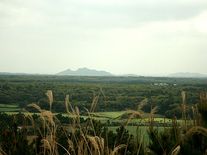 Gotjawal Forest