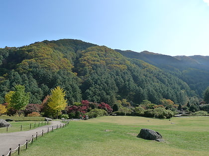 Jardin du matin calme