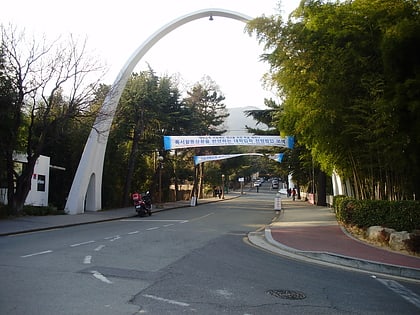 Université nationale de Pusan