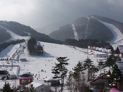 yongpyong ski resort pyeongchang