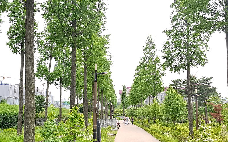 Pureun Arboretum