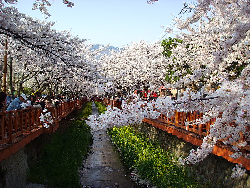 Jinhae-gu