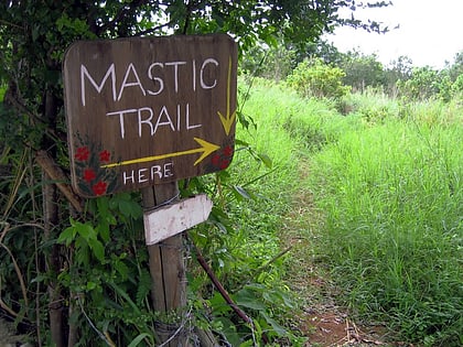 Mastic Reserve