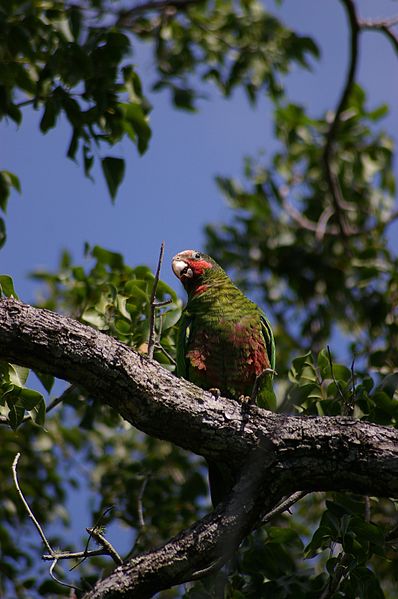 Mastic Reserve