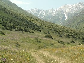naturreservat aksu jabagly