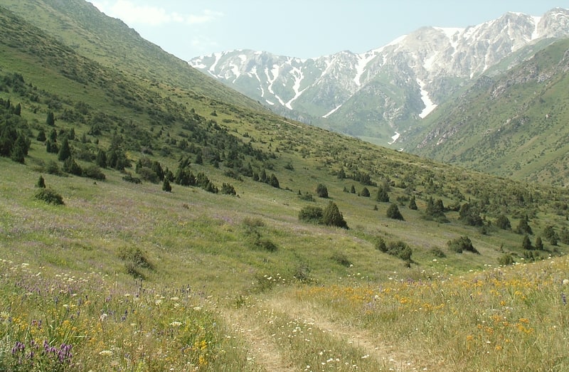 aksu zhabagly nature reserve
