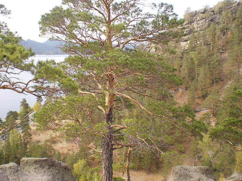 Parque nacional de Burabay