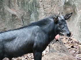 Phou Xieng Thong National Protected Area