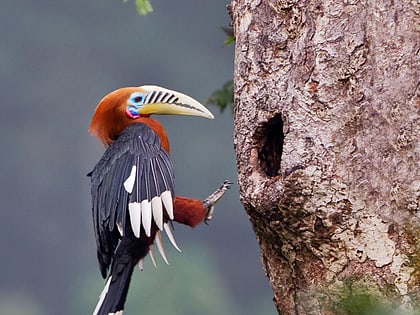 Nam Kading National Protected Area