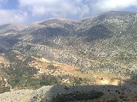 niha chouf