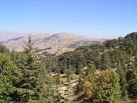 Al Shouf Cedar Nature Reserve