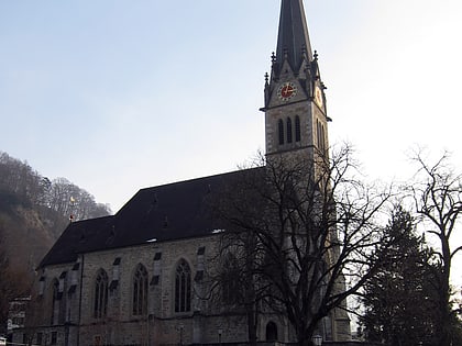 cathedrale saint florin de vaduz