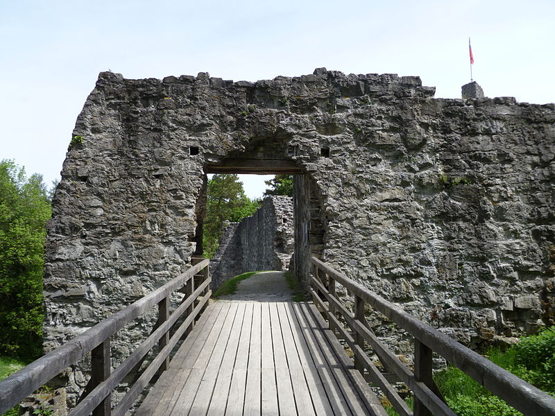 Ruine Neu-Schellenberg