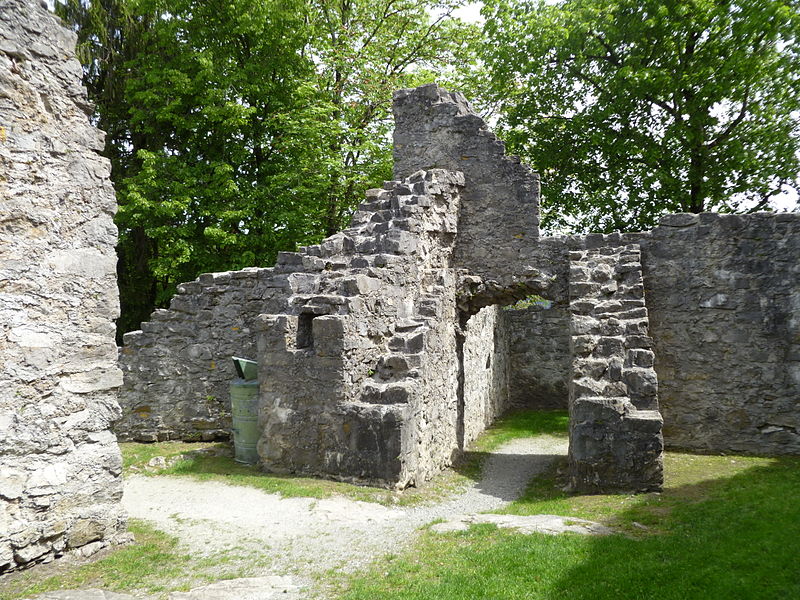 Ruine Neu-Schellenberg