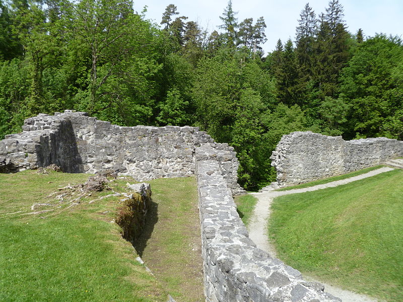 Ruine Neu-Schellenberg