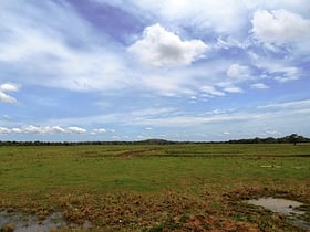 somawathiya national park