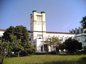 Universidad de Colombo