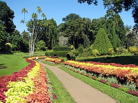 jardin botanique de peradeniya kandy