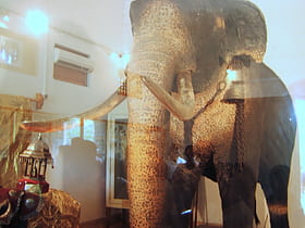 raja museum kandy