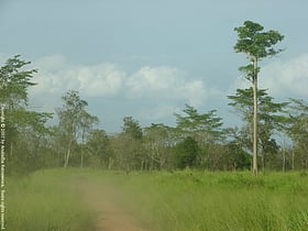 park narodowy maduru oya