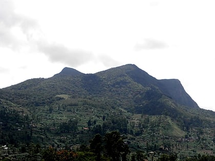 hakgala hakgala strict nature reserve