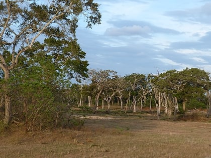 Lunugamvehera National Park