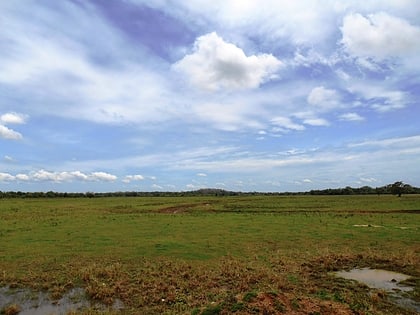 park narodowy somawathiya