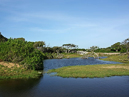 Park Narodowy Kumana