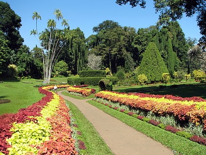 royal botanical gardens kandy