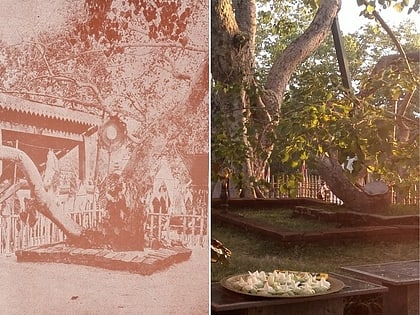 jaya sri maha bodhi anuradhapura