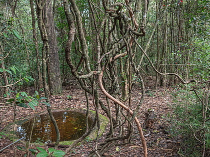 Galway's Land National Park