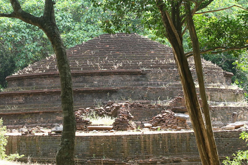 Kaludiya Pokuna Forest