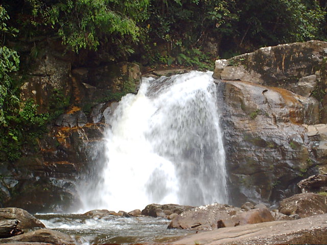 Rezerwat leśny Sinharaja