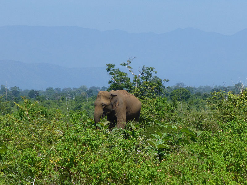 Parque nacional Udawalawe